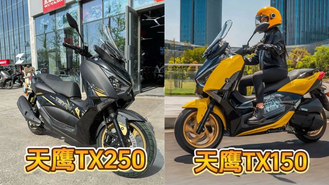 国产踏板卷疯了！2026款天鹰TX150F豪华版与TX250F黑金版双车齐发，配置