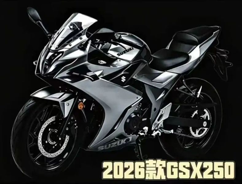 动力猛兽，全新2026款铃木GSX250来袭。