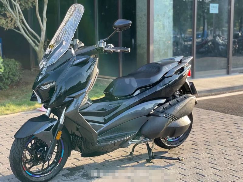 一款入门级踏板,升仕310m!