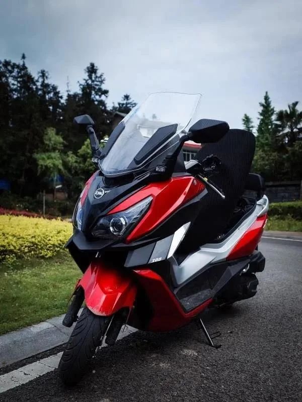 三阳巡弋阿尔法300,中型大绵羊.