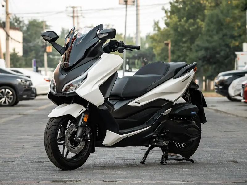 nss350,中型大绵羊,年末大促销又一波