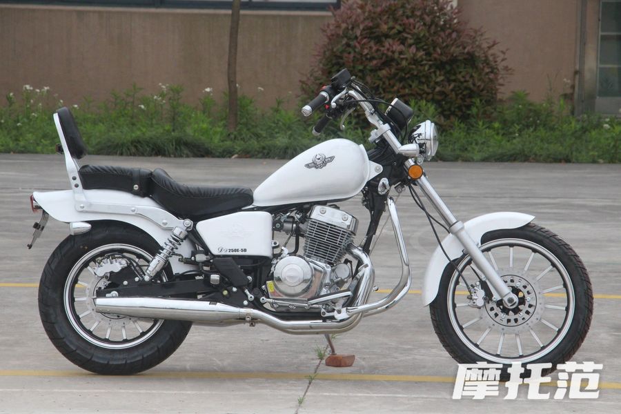 老同志的选择,大地鹰王!