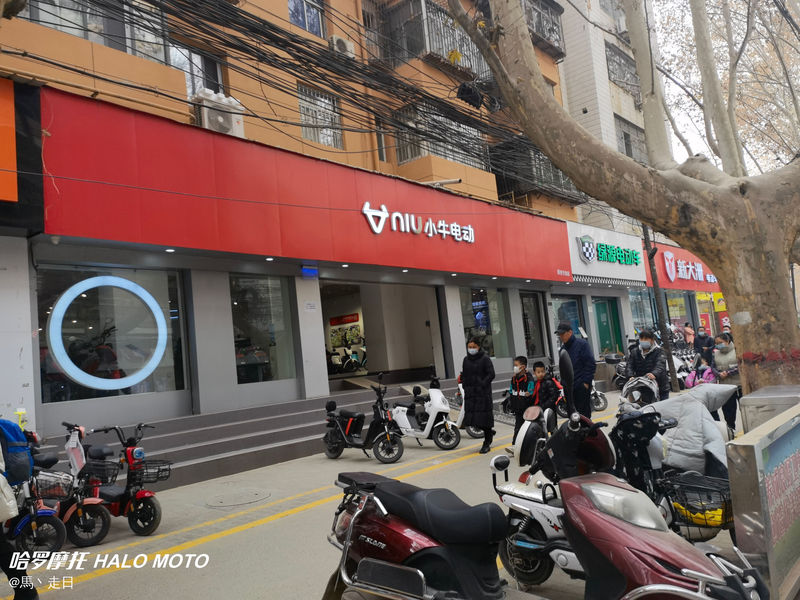 小牛电动（伞塔路店）