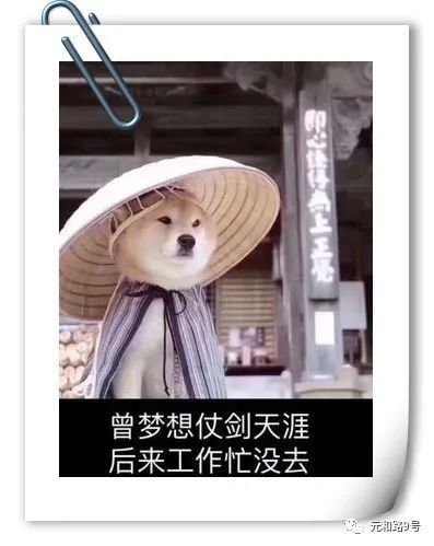 曾梦想仗剑走天涯,看一看世界的繁华see you at the next stop下一站