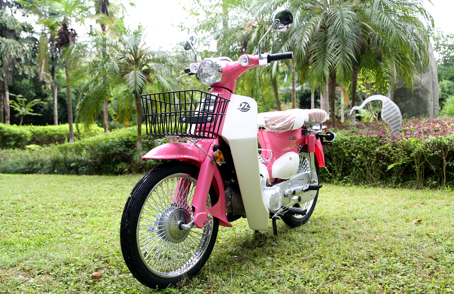 百变小车换新颜嘉陵cocopro全新配色发布