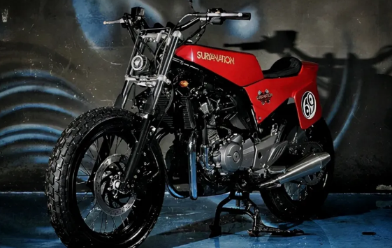 神车豪爵铃木gw250改装鉴赏.