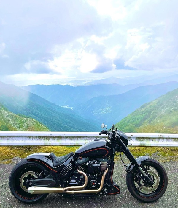 哈雷戴维森fxdr114