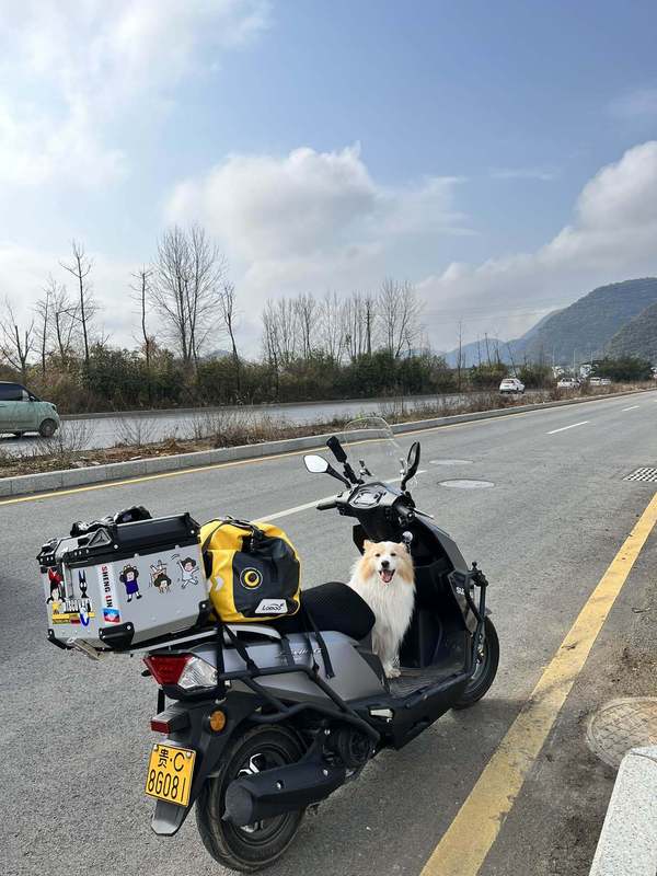 妹子带狗子骑踏板远行第二天,一天跑114公里,肩酸背痛,真累,摩托范