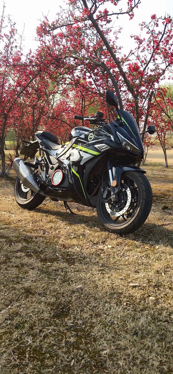 魅影255 yyds,摩托范-哈罗摩托