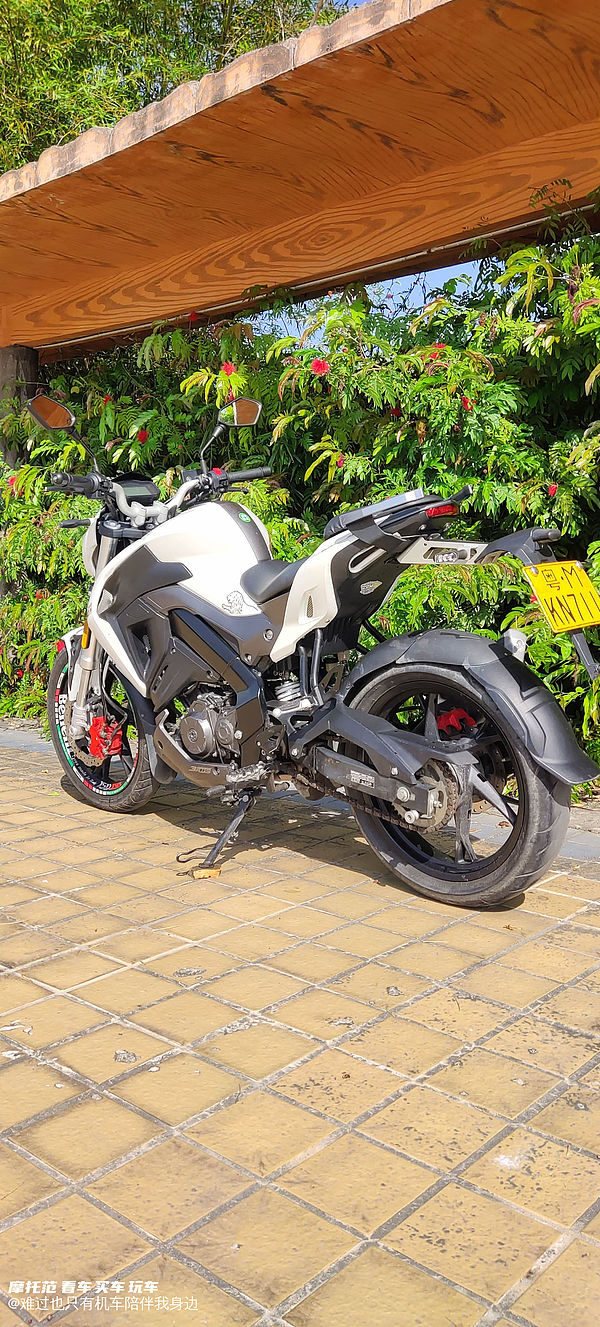 二手贝纳利小迅龙 bn150s