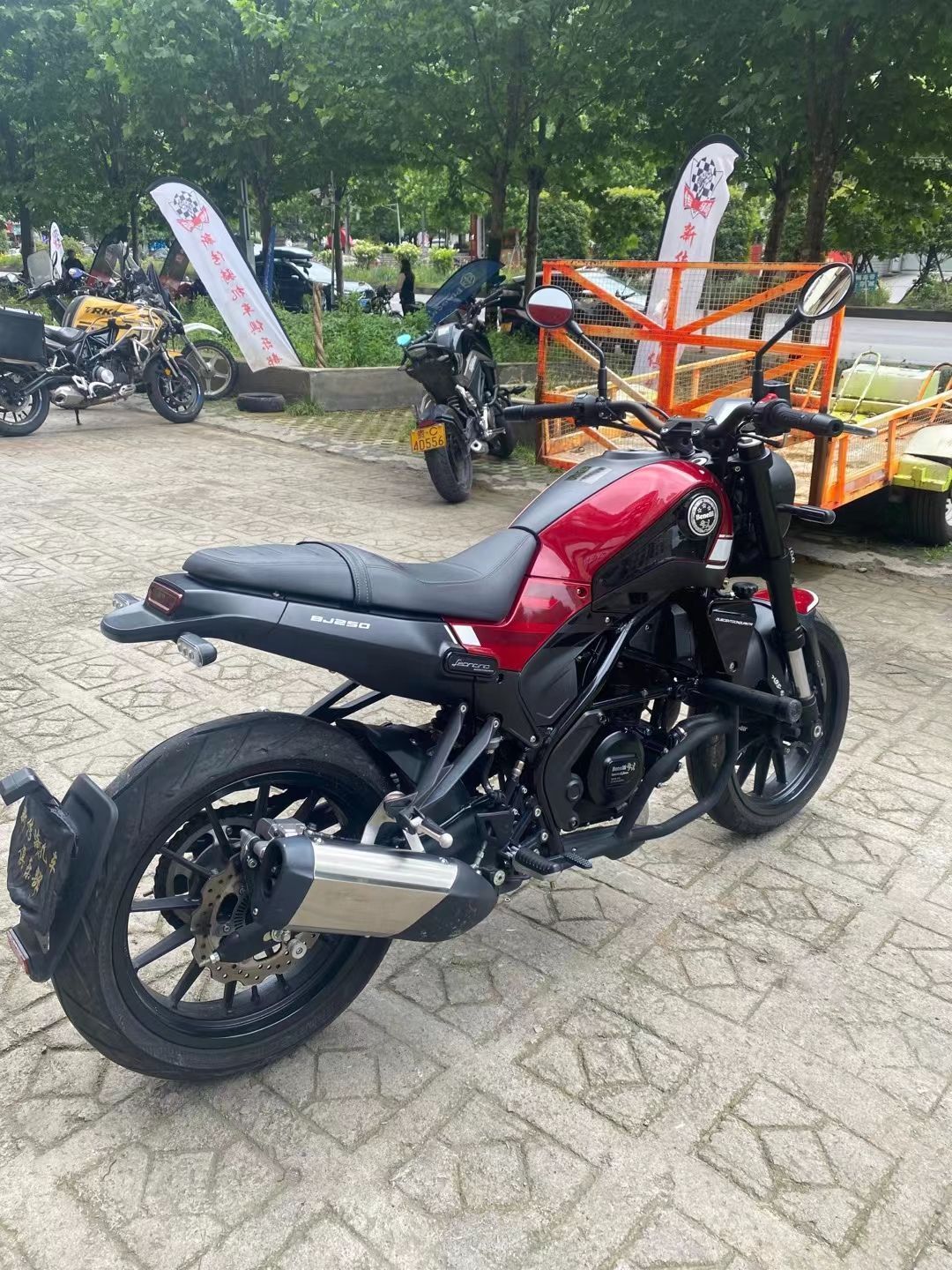 二手摩托车贝纳利 幼狮 leoncino 250