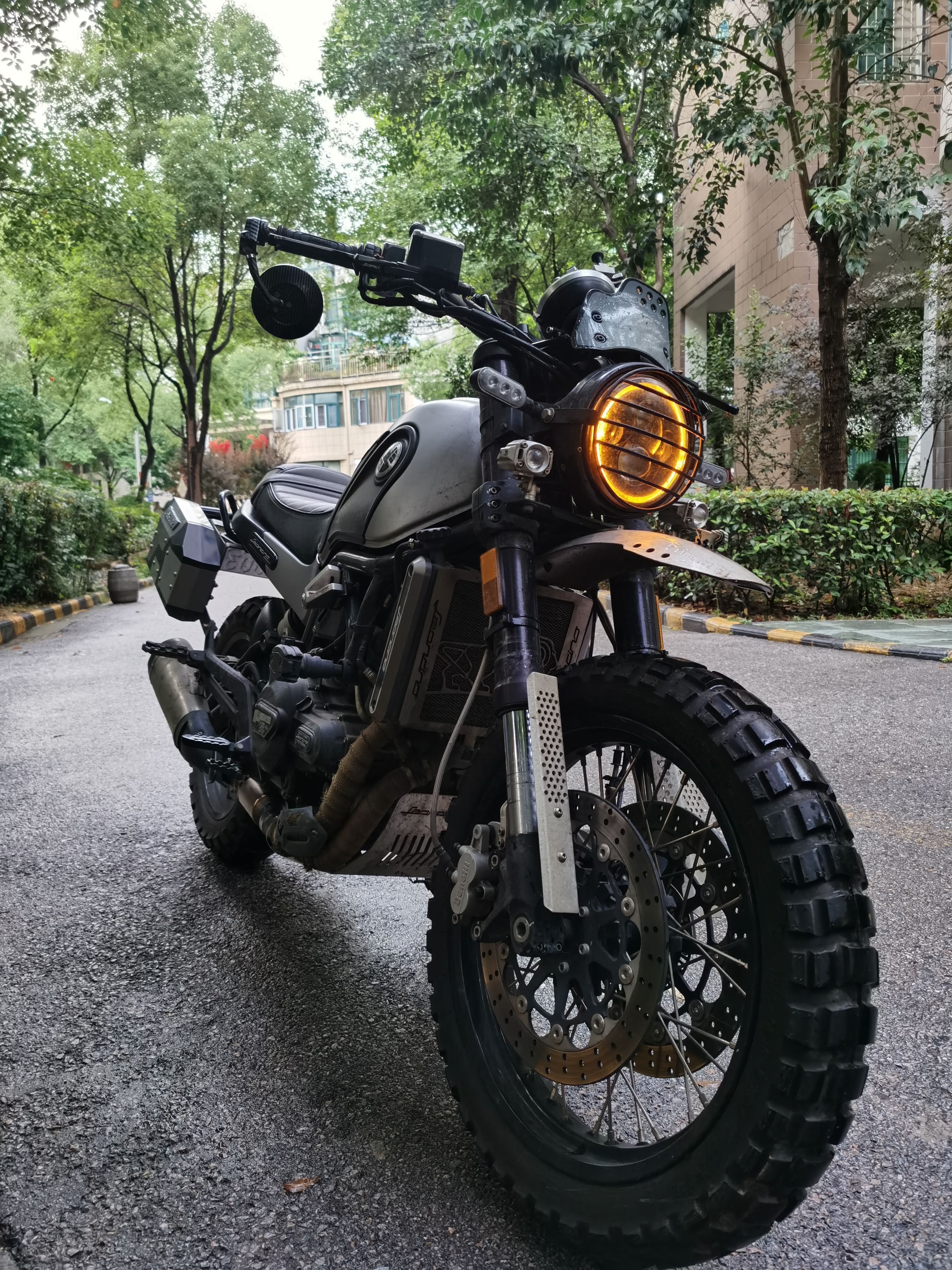 二手摩托车贝纳利 幼狮 leoncino 500