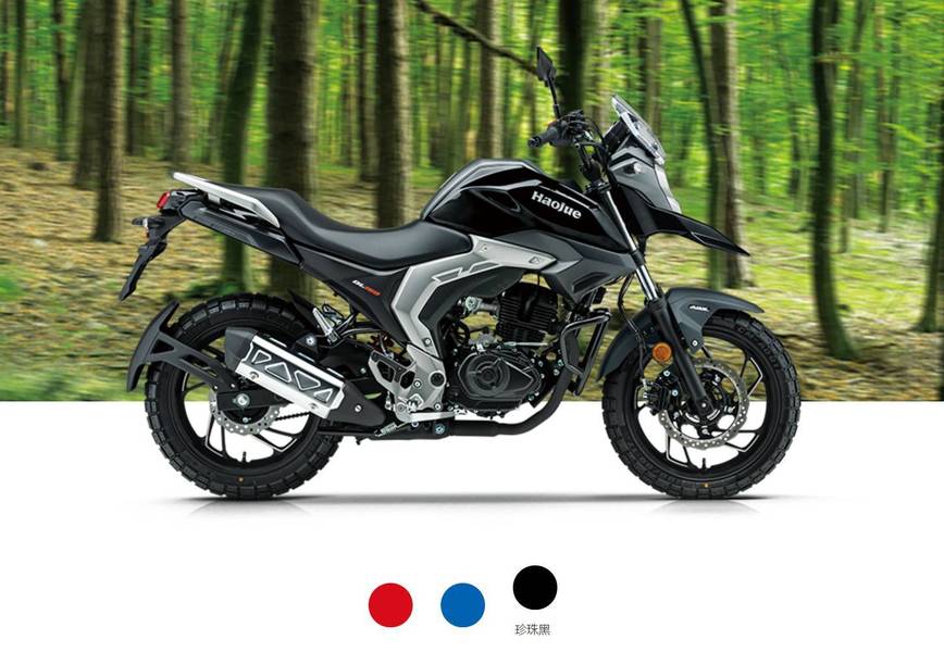 14680元!豪爵趣味街车dl150发布,配备博世abs