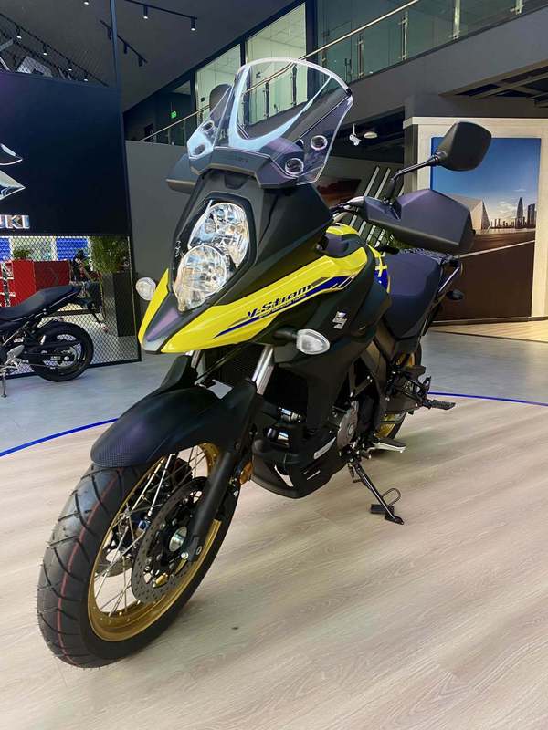 铃木大贸拉力车——dl650