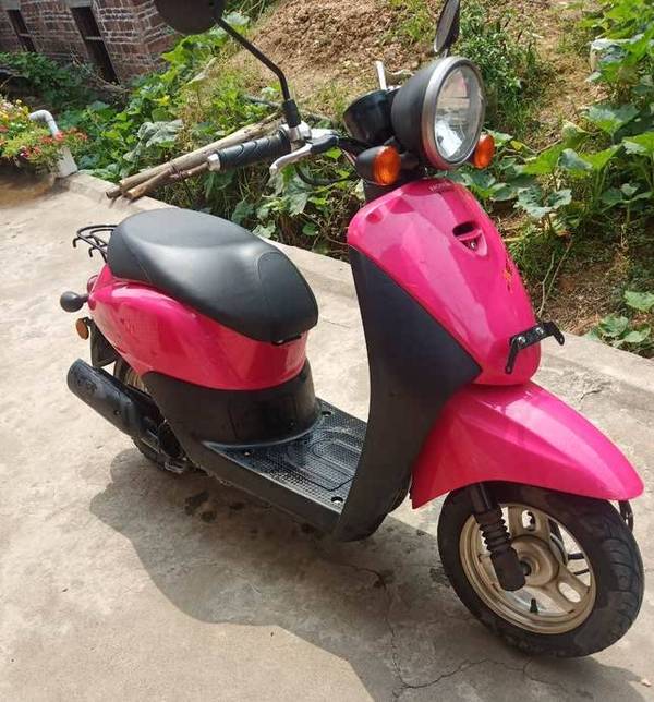 本田自由today50即将回归?