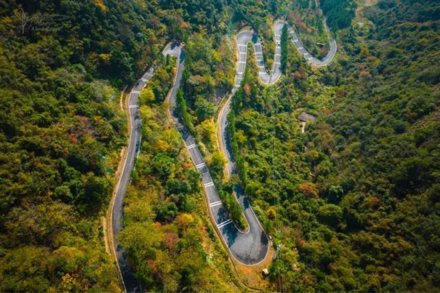 王位山有条落叶缤纷的盘山公路隐于树林和茶园间,人迹罕至