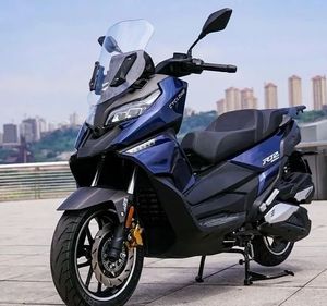 赛科龙 RT2