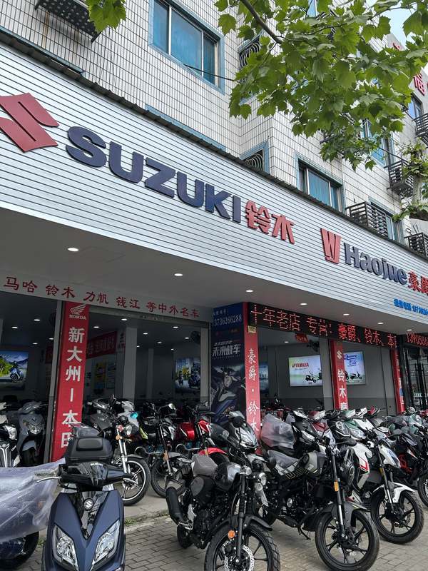 泽国迅龙机车