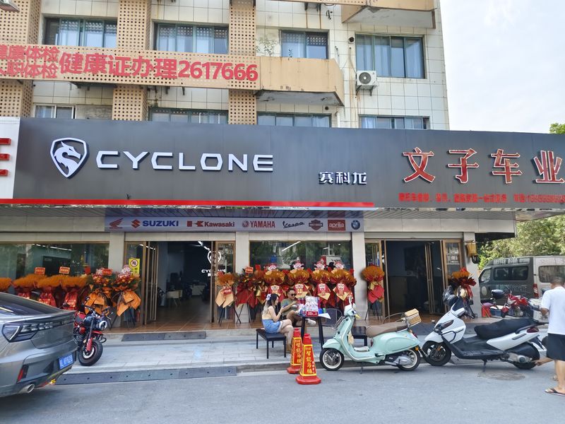 弋江区文子车业