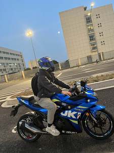 二手豪爵铃木GSX250R